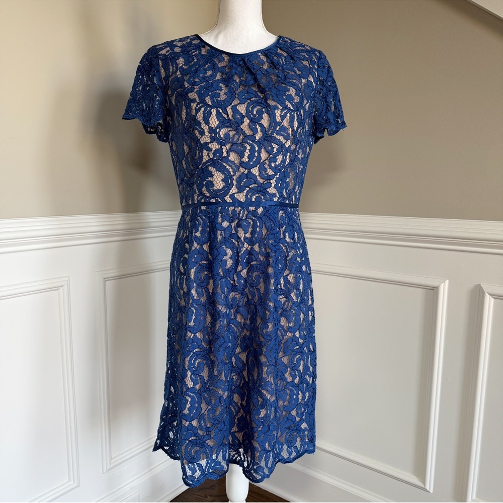 Adrianna Papell Elegant Blue Lace Dress Size 10